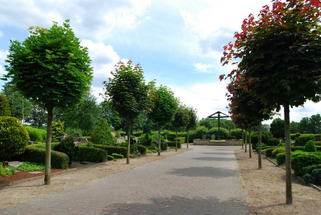 Weg auf dem Friedhof Sprakel