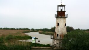 Donaudelta Wikimedia Common