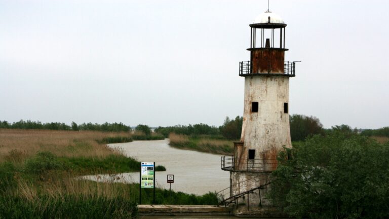 Donaudelta Wikimedia Common